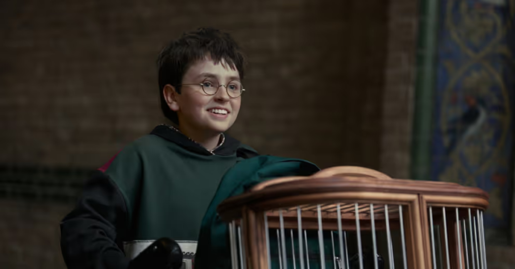 Dominic McLaughlin as Harry Potter in the new series for HBO.